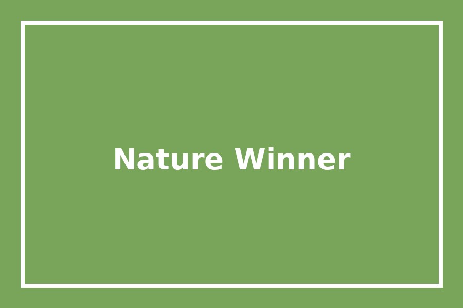 Past winning nature photograph with green background